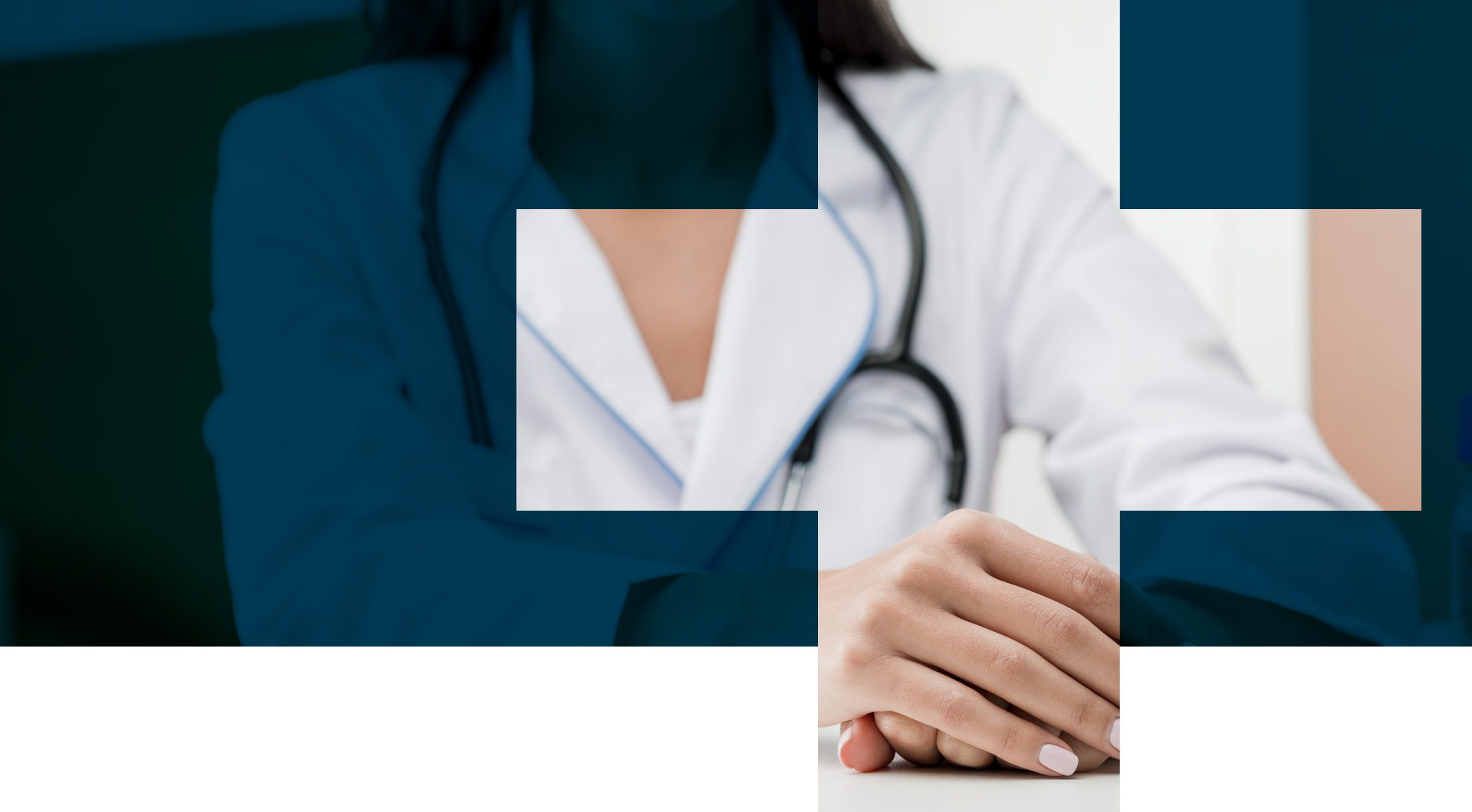 Asesoría fiscal para veterinarios